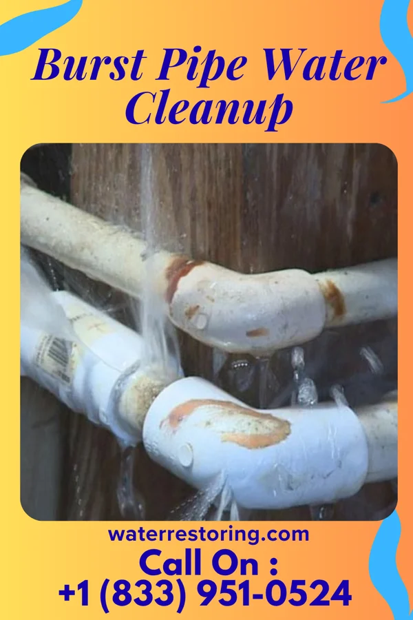 Burst Pipe Water Cleanup in Elizabethville, PA