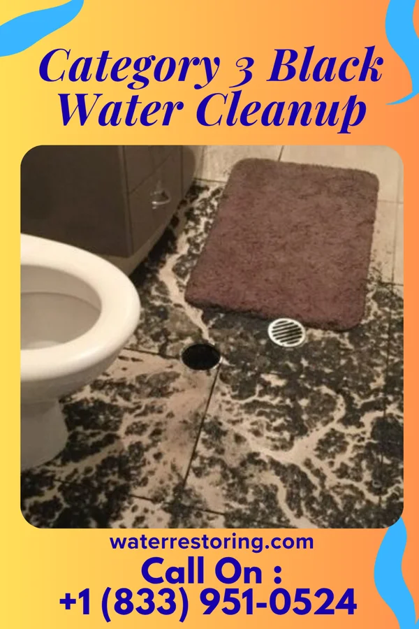 Category 3 Black Water Cleanup in Elizabethville, PA