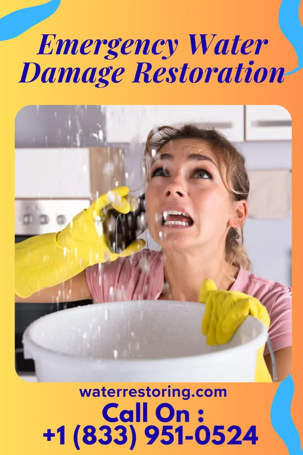 Emergency Water Damage Restoration in Elizabethville, PA