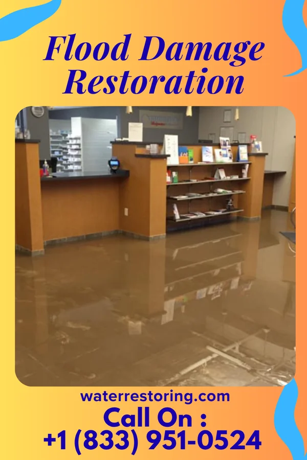 Flood Damage Restoration in Elizabethville, PA