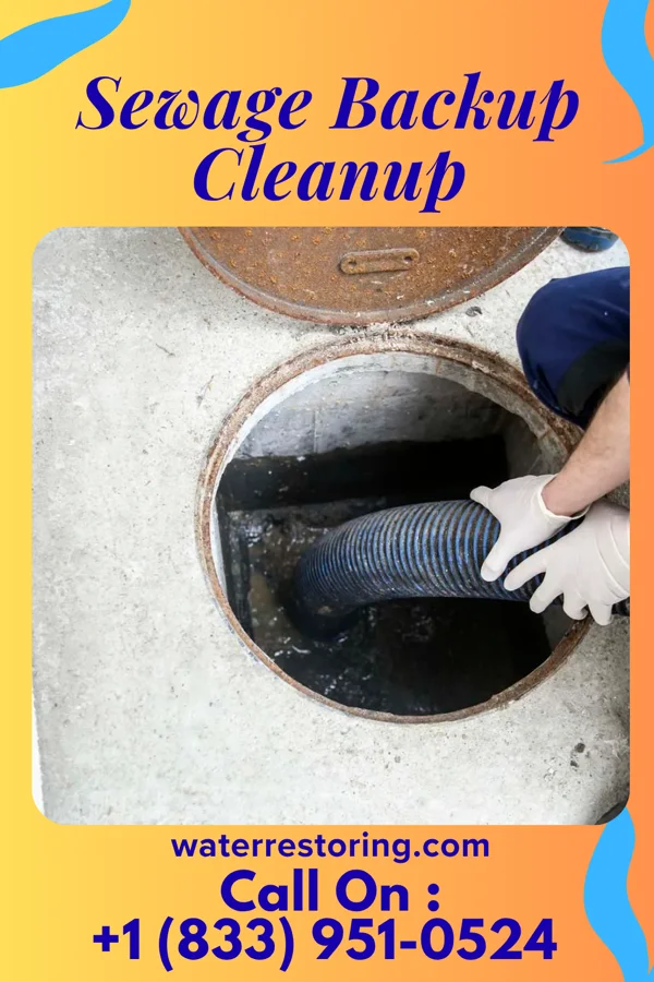 Sewage Backup Cleanup in Elizabethville, PA