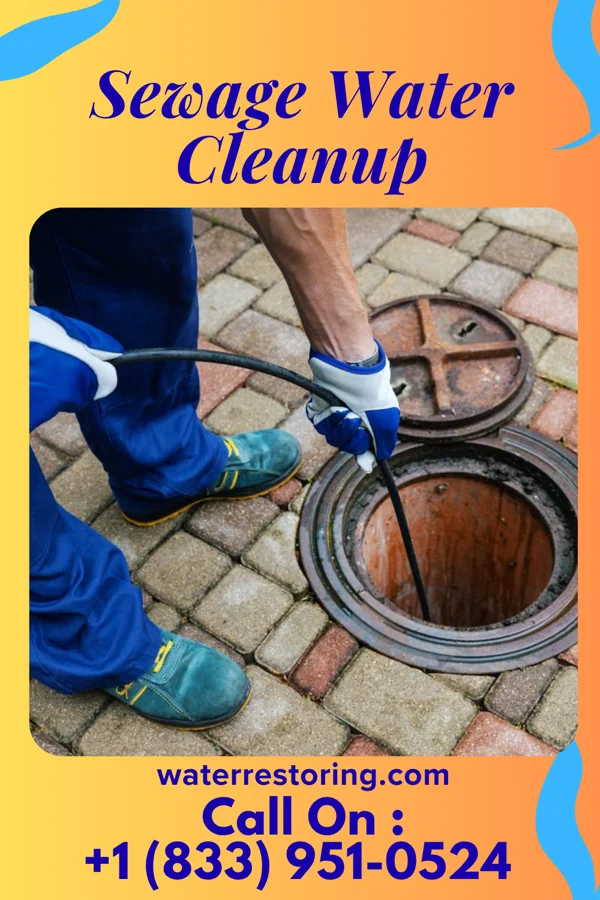Sewage Water Cleanup in Elizabethville, PA