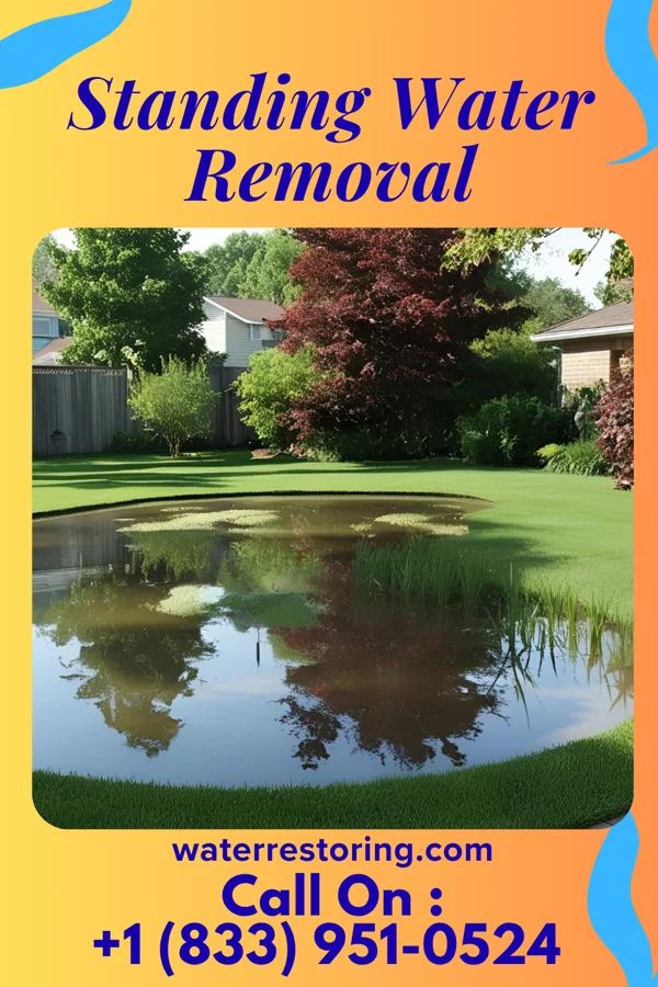 Standing Water Removal in Elizabethville, PA
